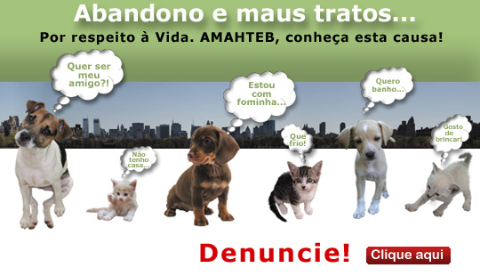 Imagem 4